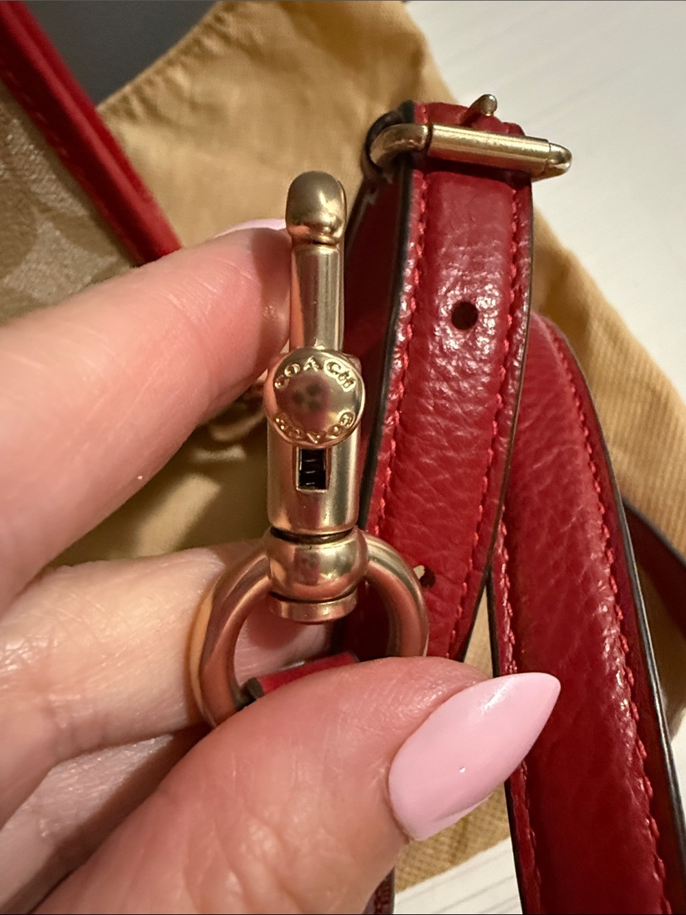 Coach Lunar New Year Dempsey signature canvas with a rabbit and carriage motif - Picture 14 of 15